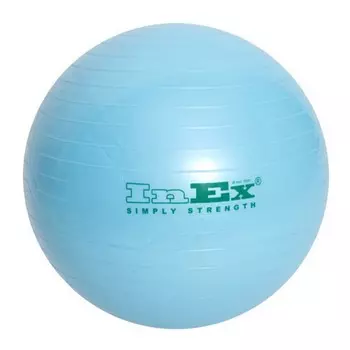 Мяч гимнастический Inex Swiss Ball BU-22 55см голубой