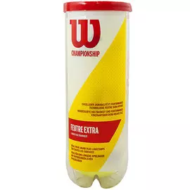 Мяч теннисный Wilson Championship WRT100101 желтый