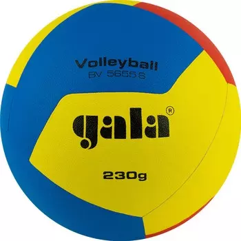 Мяч волейбольный Gala Training 230 12 BV5655S р. 5