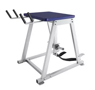 Обратная гиперэкстензия Foreman FW-821