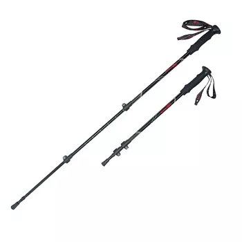 Палки треккинговые 65-135см RGX TFG-105