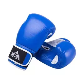 Перчатки боксерские KSA Wolf Blue, кожа, 10 oz
