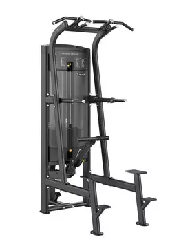 Подтягивание\Отжимание с помощью, стек 117,5кг Smith Fitness RE8008