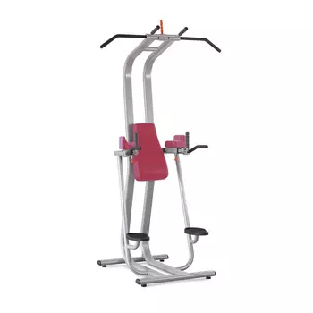 Пресс, брусья, турник Panatta 1FE211