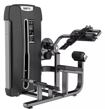 Пресс машина/Разгибание спины DHZ E-4088