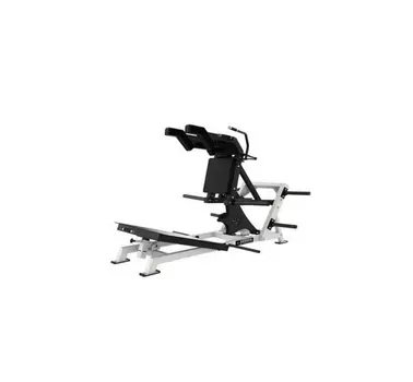 Приседания на свободных весах Protrain AS-HS