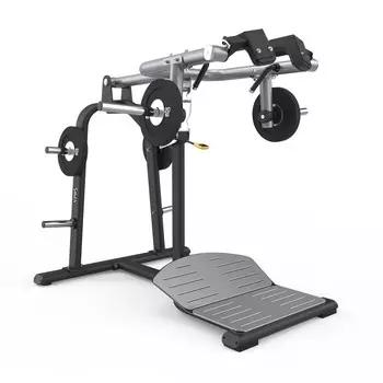 Приседания с нагрузкой Smith Fitness SH021