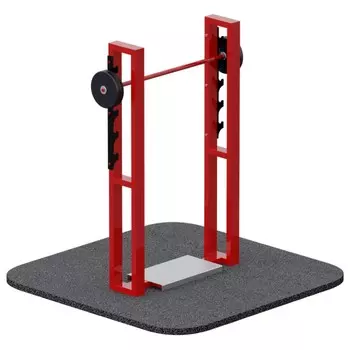 Приседания со штангой ARMS TZ020-050