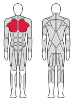 Пулловер V-Sport FT123