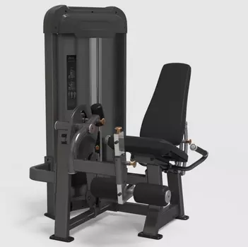 Разгибание ног AnyFit PE201-96