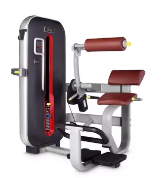 Разгибание спины Bronze Gym MT-009