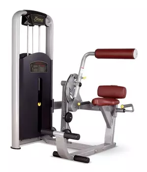 Разгибание спины Bronze Gym MV-009