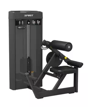 Разгибание спины Spirit Fitness SP-4310