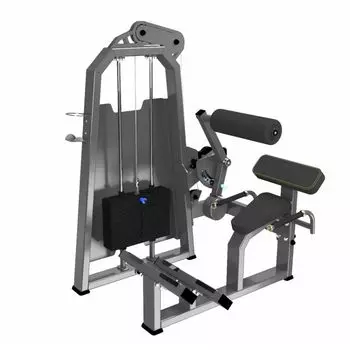 Разгибание спины. Стек 100 кг TANGEN A2031