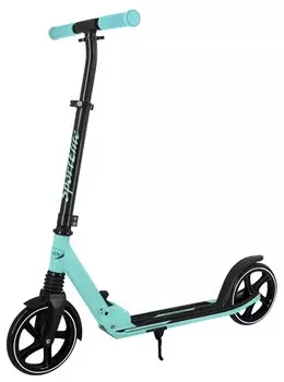 Самокат Sport Elite SE-700, черный/мятный