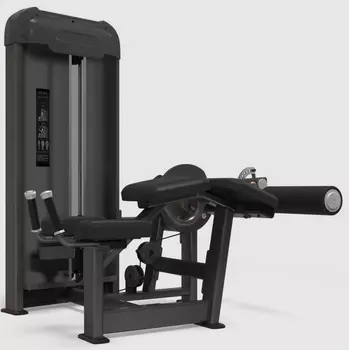 Сгибание ног AnyFit PE203-84