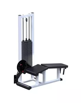 Сгибание ног ARMS (стек 100 кг) AR040