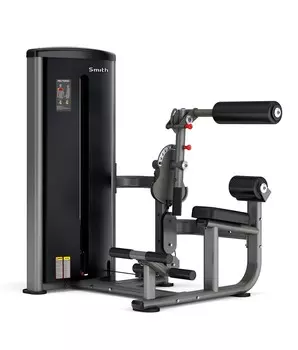 Сгибание тела (пресс)\ Разгибание спины Smith Fitness BS013