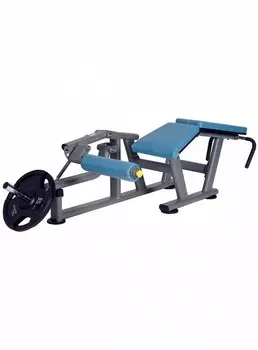 Сгибания ног лежа BenCarFitness TS-P012