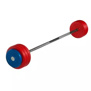 Штанга неразборная MB Barbell с цветными дисками, 25 мм, 40 кг MB-BarMW-C40