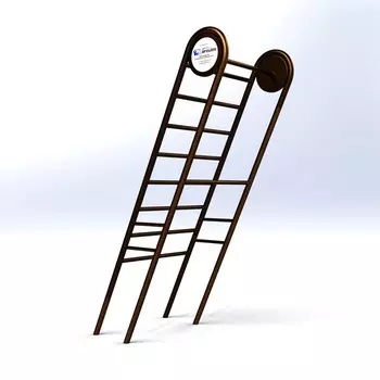 Шведская лестница + турник Hercules А-0099