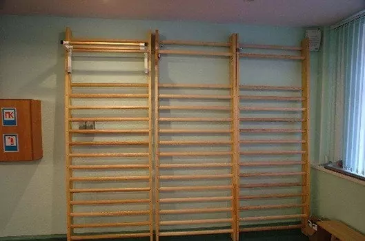 Шведская стенка 200x230 см Dinamika ZSO-002481