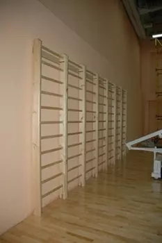 Шведская стенка 280х80см СТАРТ бок. 120х40мм, перекладина 39х35мм Atlet