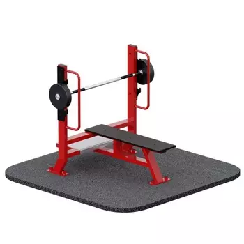 Скамья для жима ARMS TZ030-050