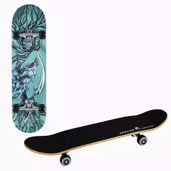 Скейтборд Alpha Caprice HG 509