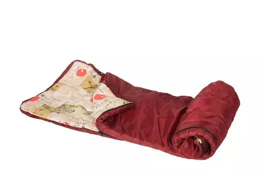 Спальный мешок - 2XL, 90х220см, +10...+20 ФСИ 1552