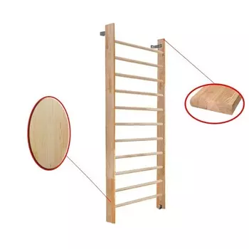 Стенка гимнастическая 240х80см щит.сосна Dinamika ZSO-000041