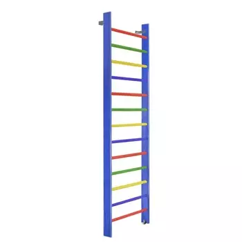 Стенка гимнастическая 280х80 (массив.сосна), цветная Dinamika ZSO-000063