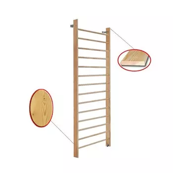 Стенка гимнастическая 300х100см массив.сосна Dinamika ZSO-000055