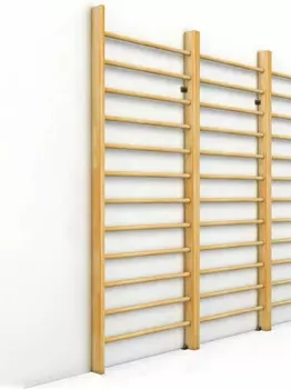 Стенка гимнастическая (шведская) Atlet 240х100 см IMP-A520