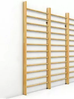 Стенка шведская Atlet Стандарт 320х100 см IMP-A634