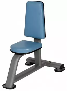 Стул BenCarFitness TS-P030