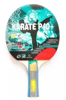 Теннисная ракетка Weekend Dragon Karate 4 Star New (анатомическая) 51.624.01.1