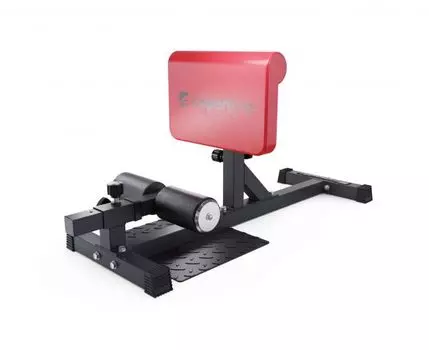 Тренажер для приседаний Sissy Squat DFC IN21715