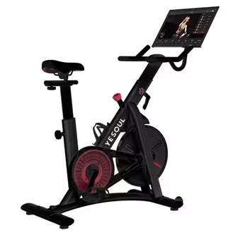 Велотренажер Xiaomi Yesoul BS3-B-21.5 черный (дисплей 21.5 quot;)