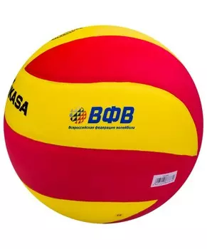 Волейбольный мяч Mikasa VSV800 р.5