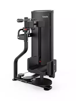 Вращение торса Smith Fitness DA010