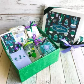 Подарочный набор "Кактус"