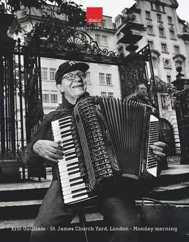 Акустическая панель Dali