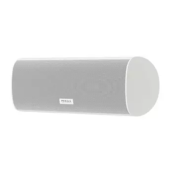 Центральный канал PIEGA