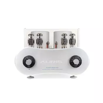 Интегральный усилитель Auris