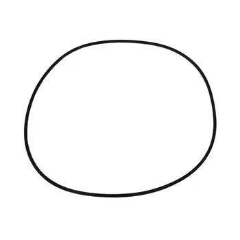 Пассик Pro-Ject