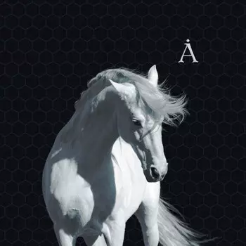 Пластинка Аквариум