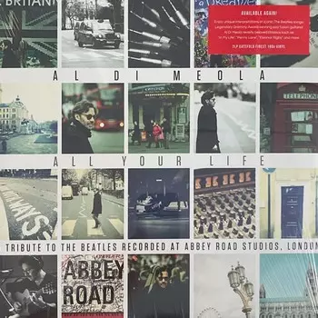 Пластинка Al Di Meola