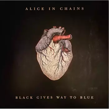Пластинка Alice In Chains