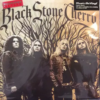 Пластинка Black Stone Cherry